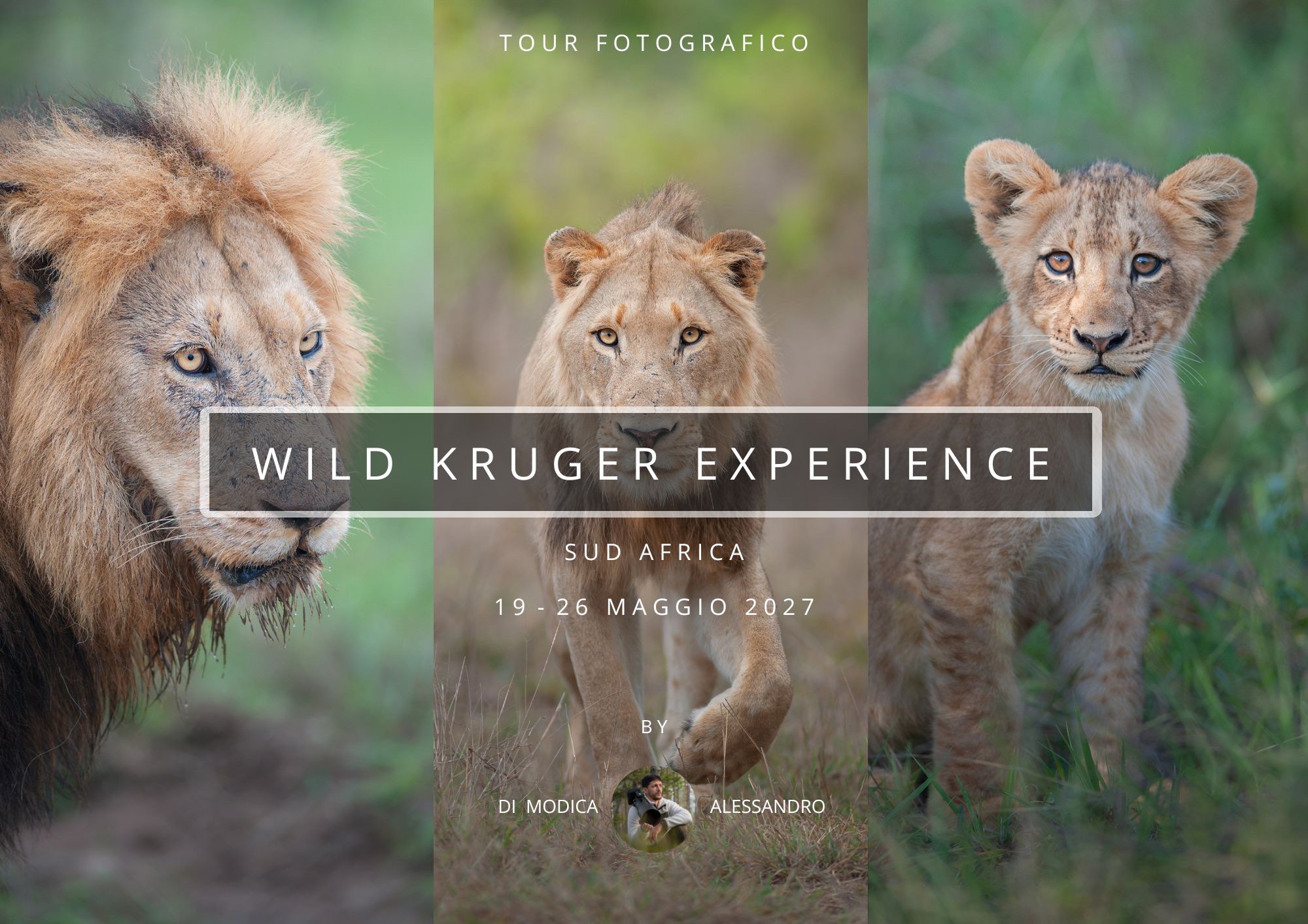 WILD KRUGER EXPERIENCE II